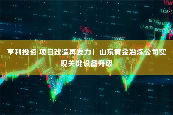 亨利投资 项目改造再发力！山东黄金冶炼公司实现关键设备升级